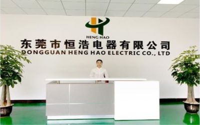 चीन Dongguan Heng Hao Electric Co., Ltd