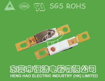 Automatically Reset Mini Thermal Switch For Electric Heating Appliances
